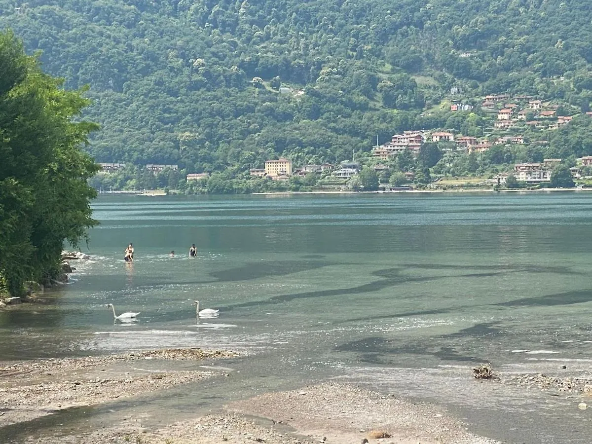 Villa The Swan - Composed By 2 Apartments Mandello del Lario